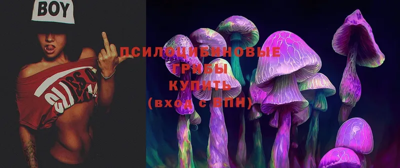 Галлюциногенные грибы Magic Shrooms  наркотики  mega вход  Иланский 